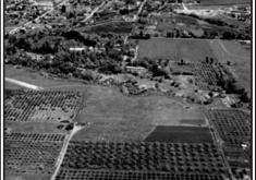 Picture of fruit farms 